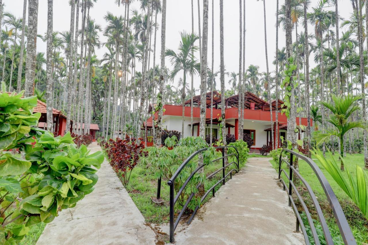 מדיקרי Ezzenza Areca Resort מראה חיצוני תמונה
