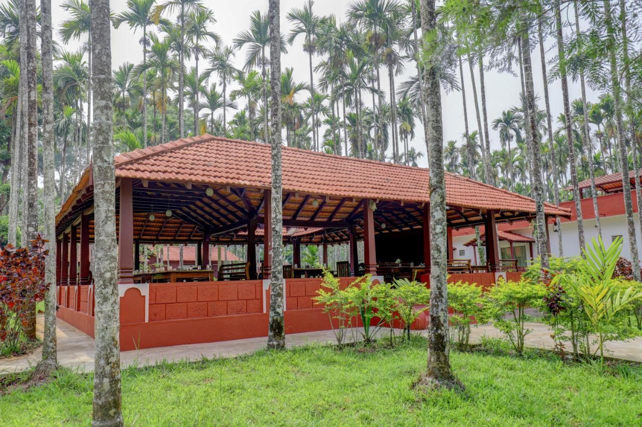 מדיקרי Ezzenza Areca Resort מראה חיצוני תמונה
