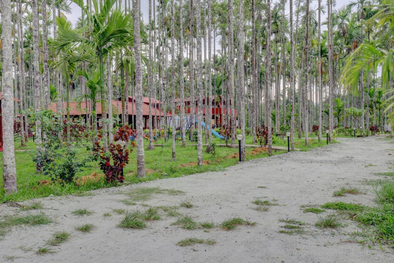 מדיקרי Ezzenza Areca Resort מראה חיצוני תמונה