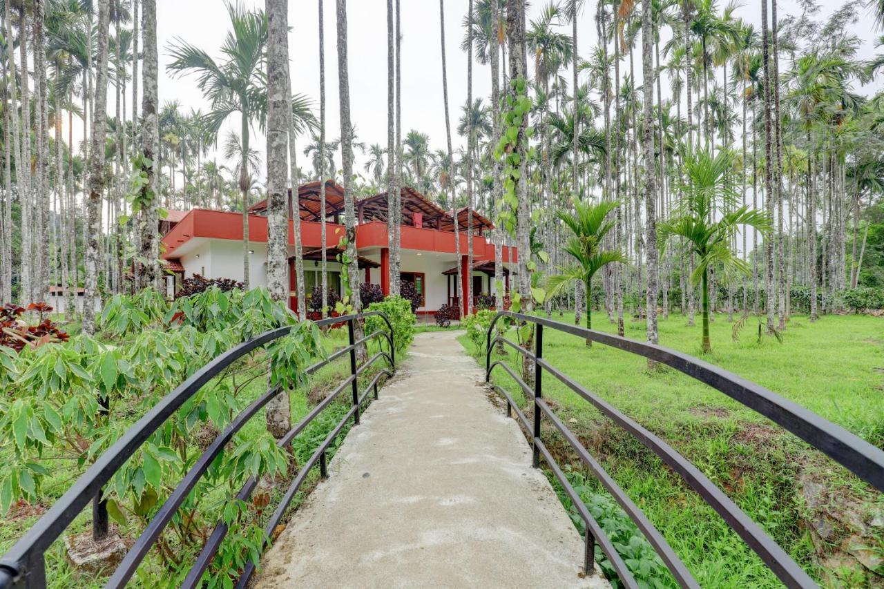מדיקרי Ezzenza Areca Resort מראה חיצוני תמונה